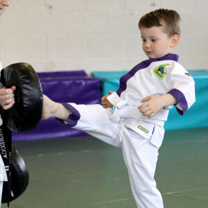 Does your club need a children’s martial arts programme?