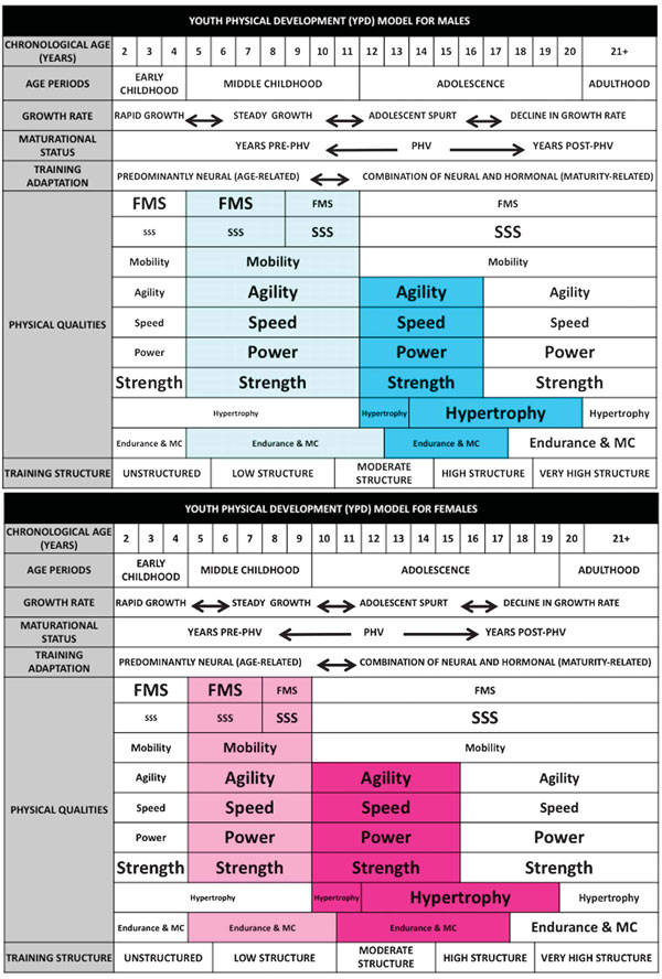 Youth Physical Development Model