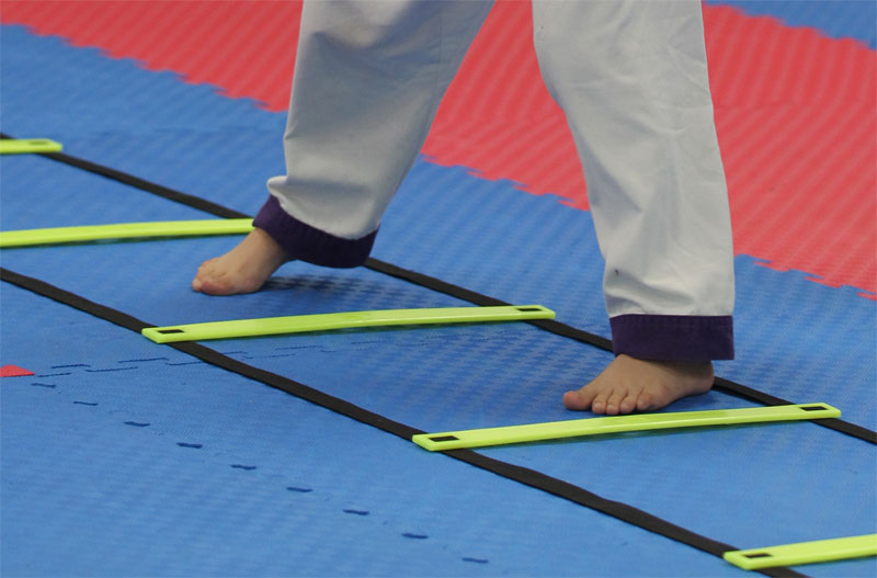 Perceptual motor skills through martial arts