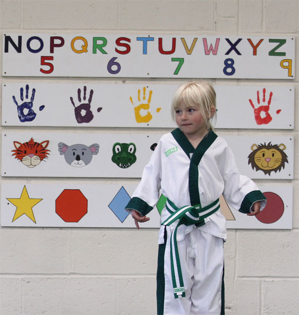 Psychological Stages Of Development - Shapes, colours, letters , numbers, animals